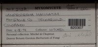 Image Associated With the Occurence